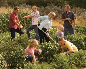 Mormon Family Working Together
